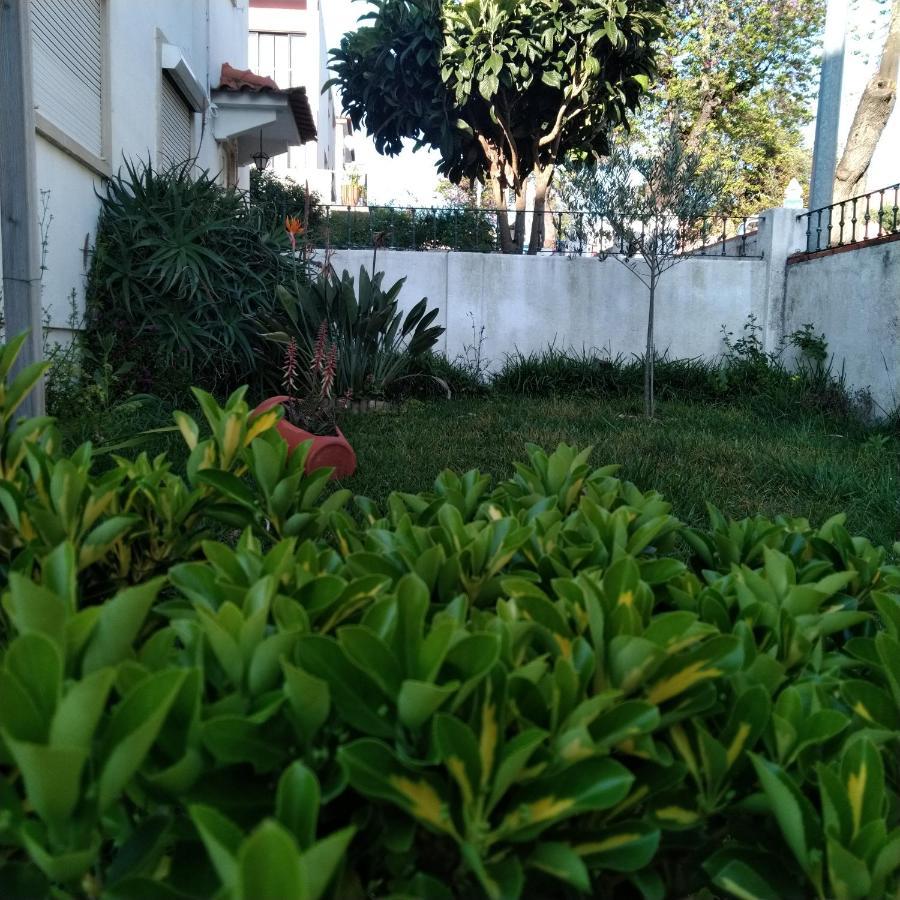 Tomarhousing - Garden Διαμέρισμα Εξωτερικό φωτογραφία